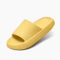 Cloud Slides - Original